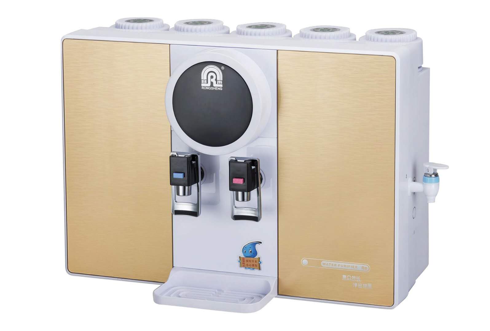 Rongsheng RO309 Water Purifier Dispenser